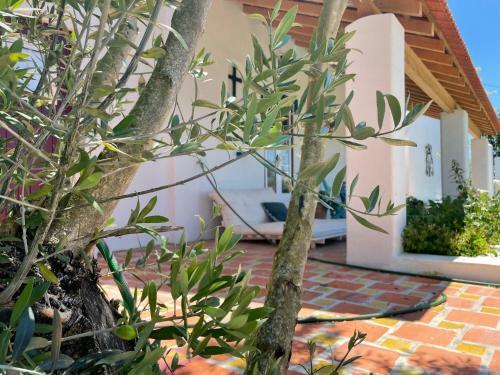 Hostal Casal De Santanna