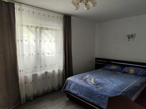Hostal Casa Irina