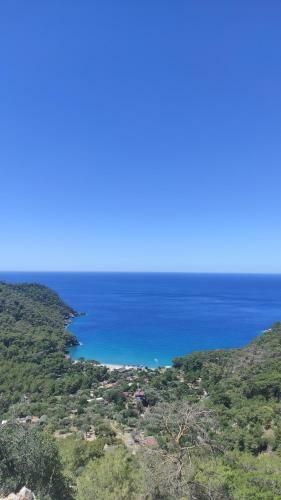 Villa Kabak Lost Forest House
