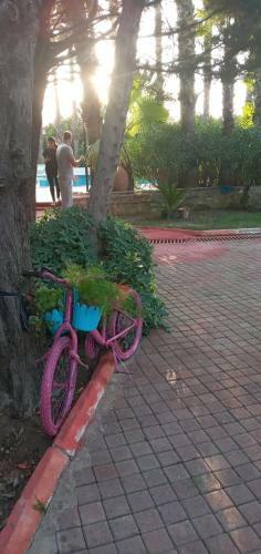 Villa Paradise Manavgat
