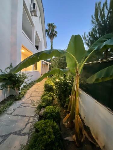 Apartamento Yonca Otel