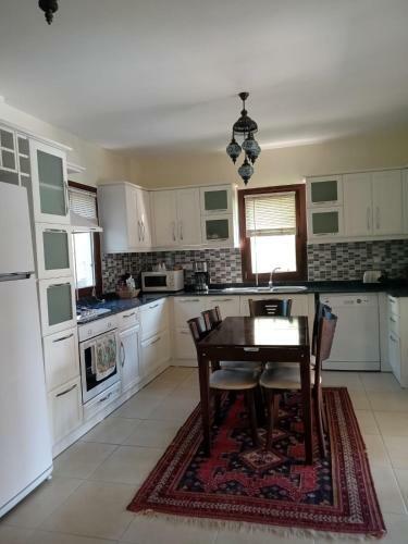 Villa Oliva Houses1