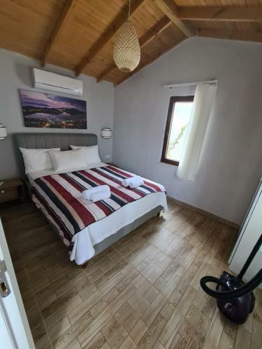 Eva's Tiny Homes