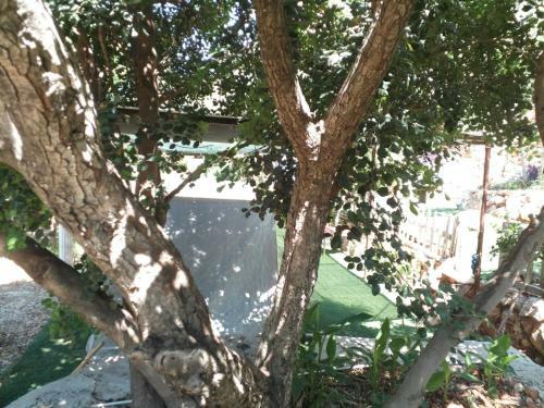 Gizli Vadi Camping&pension