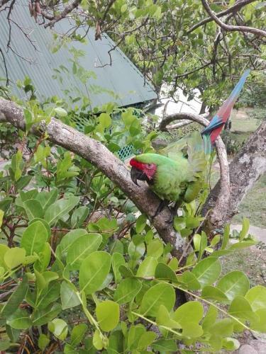 Finca Las Guacharacas