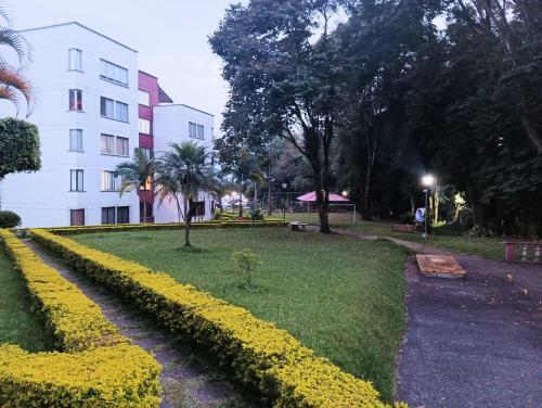 Super Apartamento Pereira