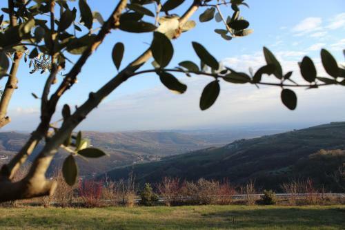 Bed & Breakfast Podere Castagne'