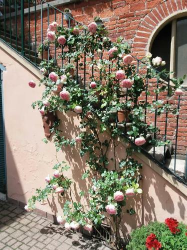 Bed & Breakfast La Terrazza Sul Monferrato