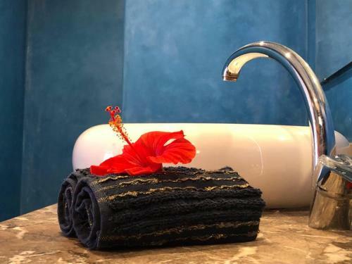 Hostal L'abri C�tier By Nezza