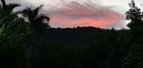 Lodge Vuna Valley