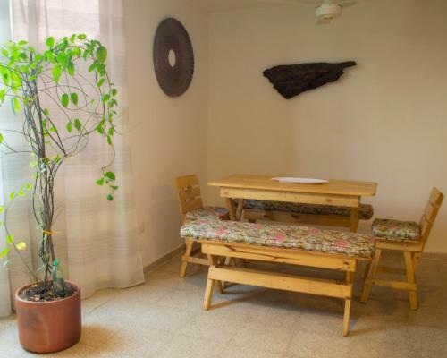 Apartamento Origen Central