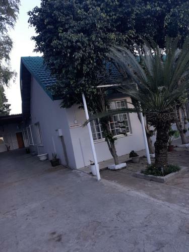 Hostal Greg Guest House