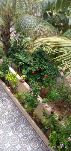 Sahana Homestay