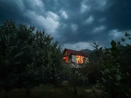 Cabin In The Woods