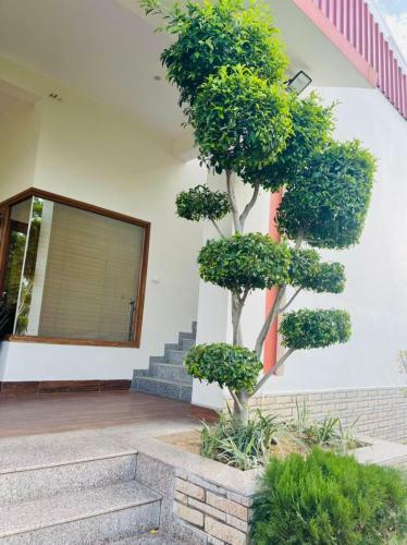 Villa The Mango Tree - By Shay Hospitality