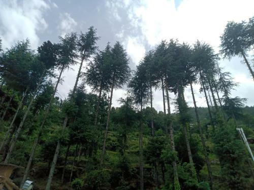 Nanda Devi