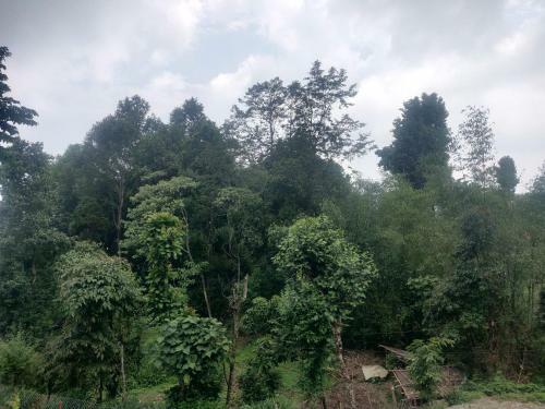 Tranquil Hillside Homestay