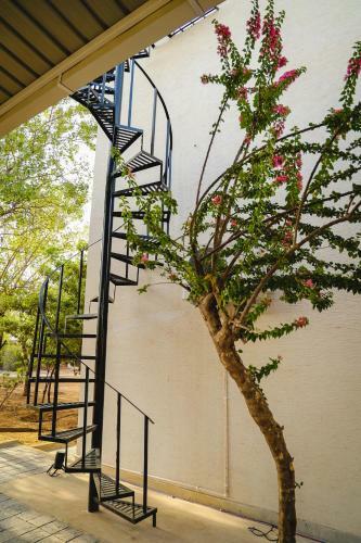Agroturismo Royale Lalit Farm