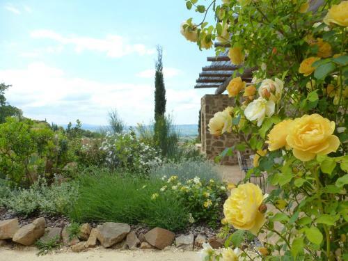 Apartamento Castel Brunello