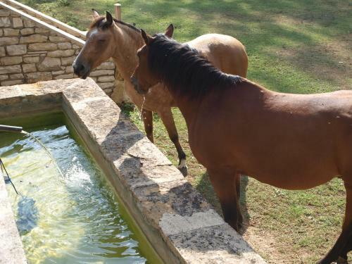 Hostal La Mouline