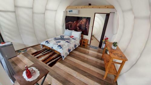 Shenanigans Glamping Resort