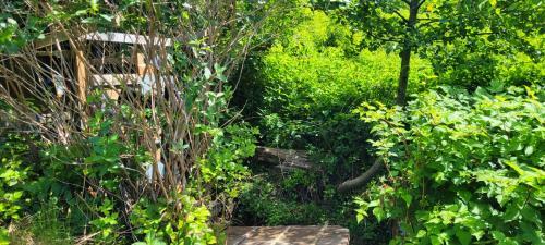 Agroturismo Off Grid Tiny Home: The Forest Dreamer Medicine Farm