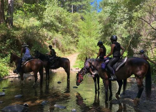 Harmony Ridge Ranch Nestled On A Secluded 6 Acres