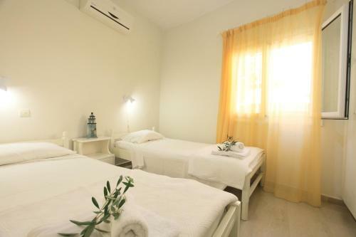 Kaminaki Beachfront Apartments