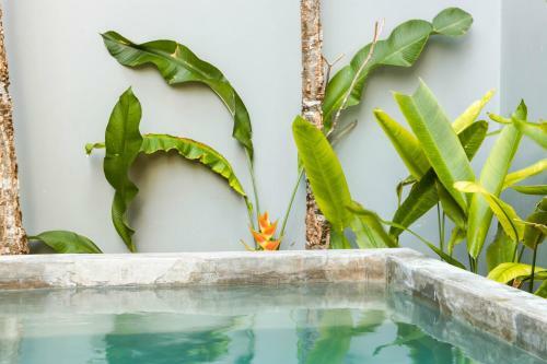 Apartamento Tulum - La Veleta
