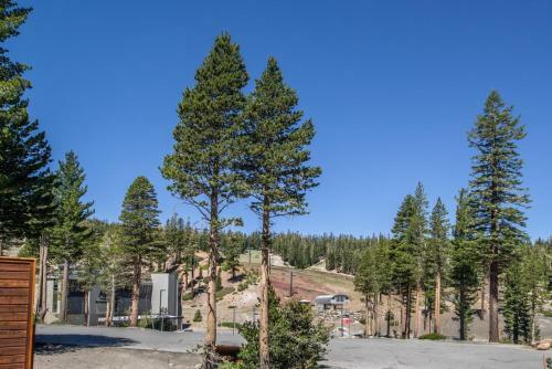 #513 Ski In Ski Out Mountainside Home