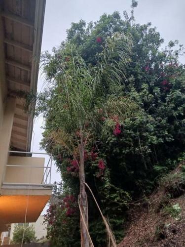 Apartamento View Park Vibes
