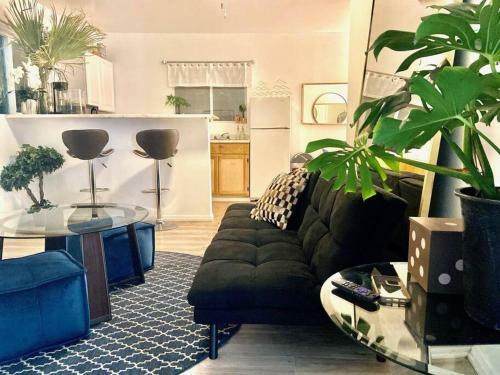 Apartamento Concrete Jungle Vibes