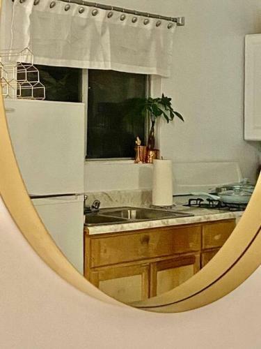 Apartamento Concrete Jungle Vibes