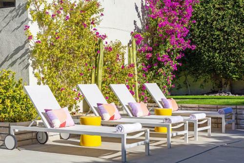 Xoxo Palm Springs