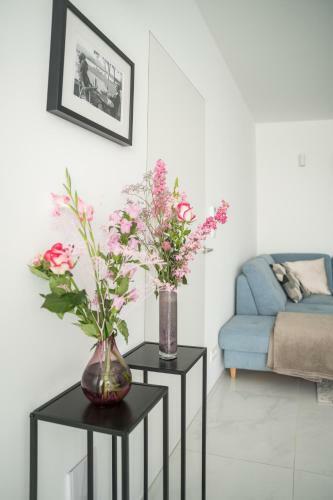 Blue Yvey Apartment