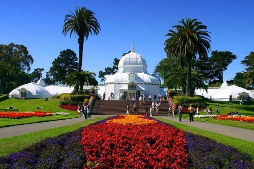 Golden Gate Park Sweet Home- 3 Bedrooms