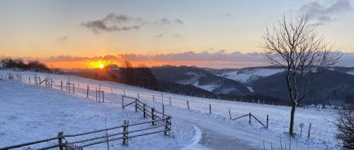 Apartamento Chalet Bergliebe
