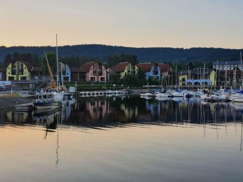 Lipno Lake Apartment