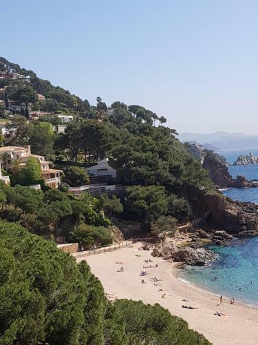 Apartamento En El Torre De S`abanell