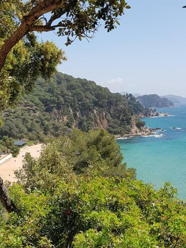 Apartamento En El Torre De S`abanell