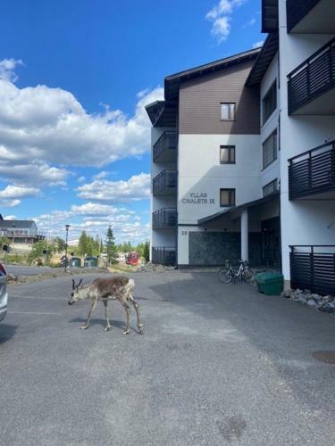 Yll�s Chalets IX A9104