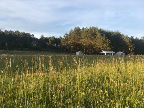 Bed & Breakfast Le Bois Fa�