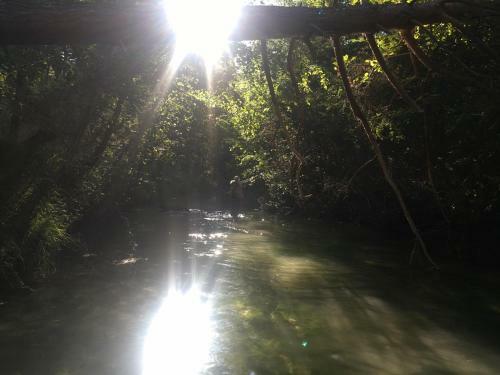 Bed & Breakfast Le Bois Fa�