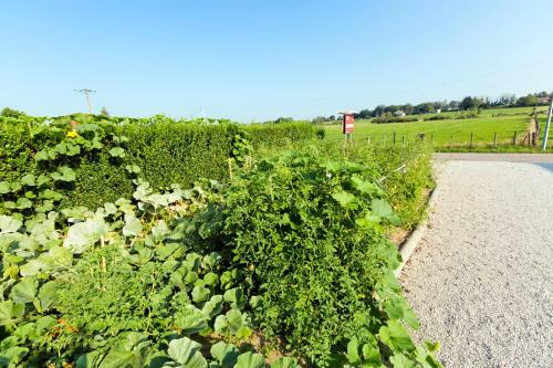 Hotel H�tel Auberge De Chavannes