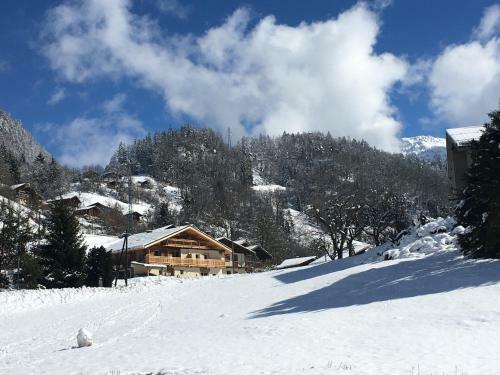 Appartement Dans Chalet 8 Pers