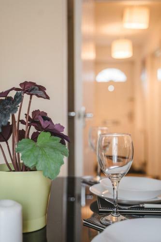 Snapos Luxury Serviced Apartments - Tudor Close