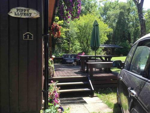 Lovely Log Cabin On Woodland Site