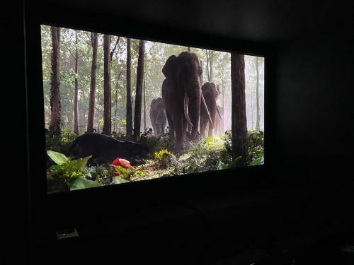 Cosy Cinema
