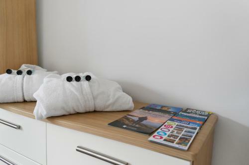 Village Cwtch Whitchurch 2 Bedroom Apartment
