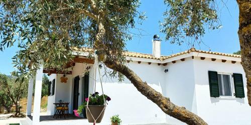 Lily Home_lefkada ~ Private Country House